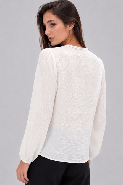 Ruffle V-Neck Blouse